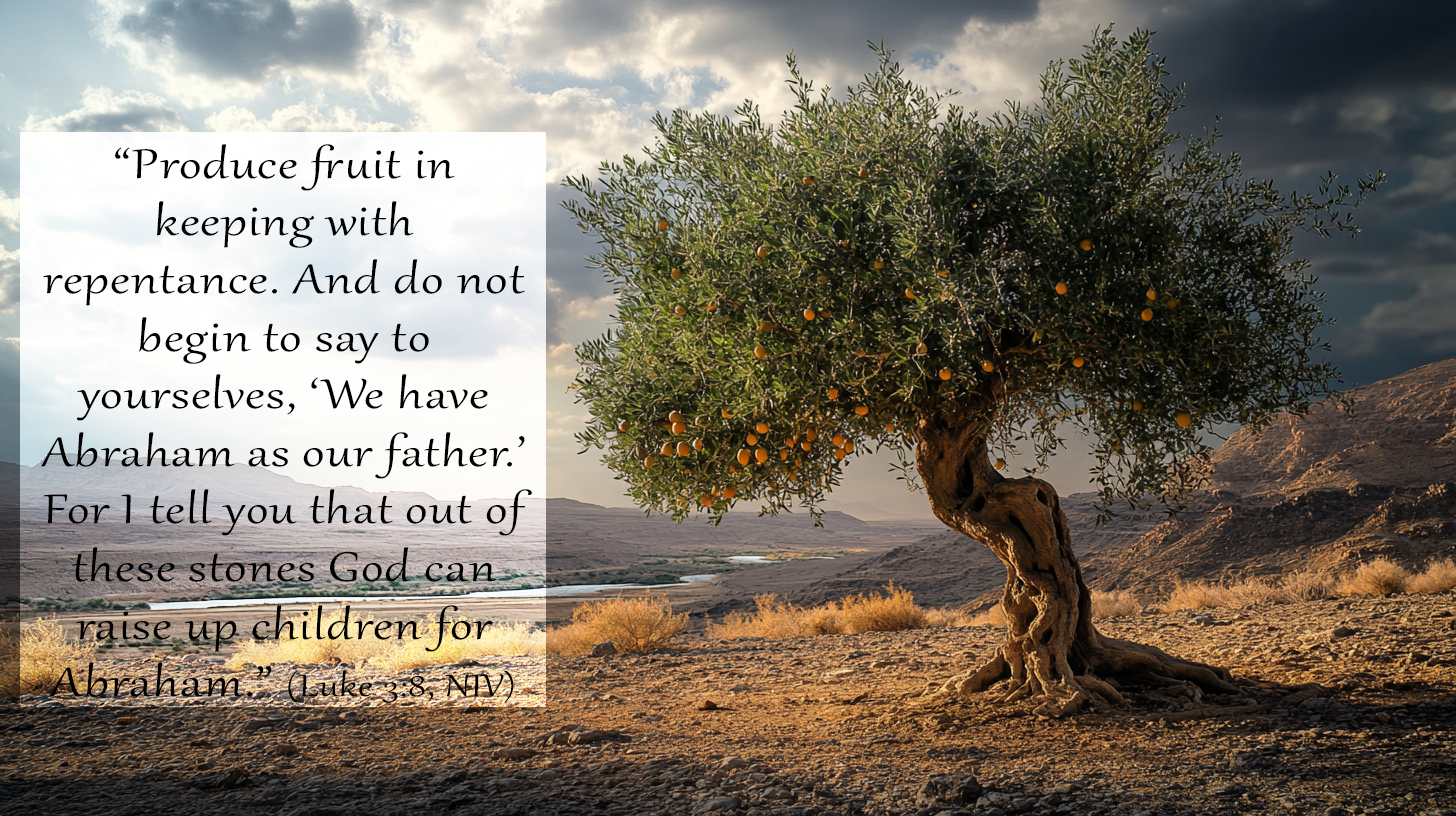 Olive tree bearing fruit in a desert landscape representing Advent repentance and the fruit of transformation from Luke 3:7–14.